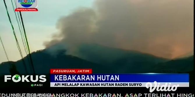 VIDEO: Taman Hutan Raya di Lereng Gunung Arjuno Terbakar, Pendakian Ditutup Sementara