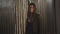 Vampire Diaries Quotes: 35 Iconic Lines That Will Make You Love the Series