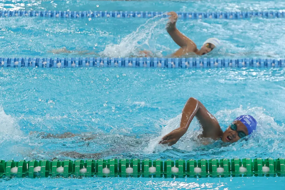 Indonesia Open Aquatic Championships