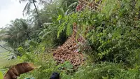 Pergerakan Tanah di Sukamakmur Bogor Rusak Belasan Rumah, 51 Jiwa Mengungsi