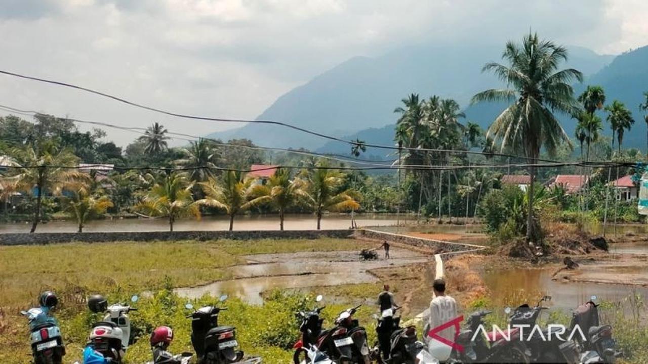 Fantastis! Bulog Rejang Lebong Optimistis Capai Target 1.000 Ton Penyerapan Beras Petani, Sudah 81,1% Tercapai