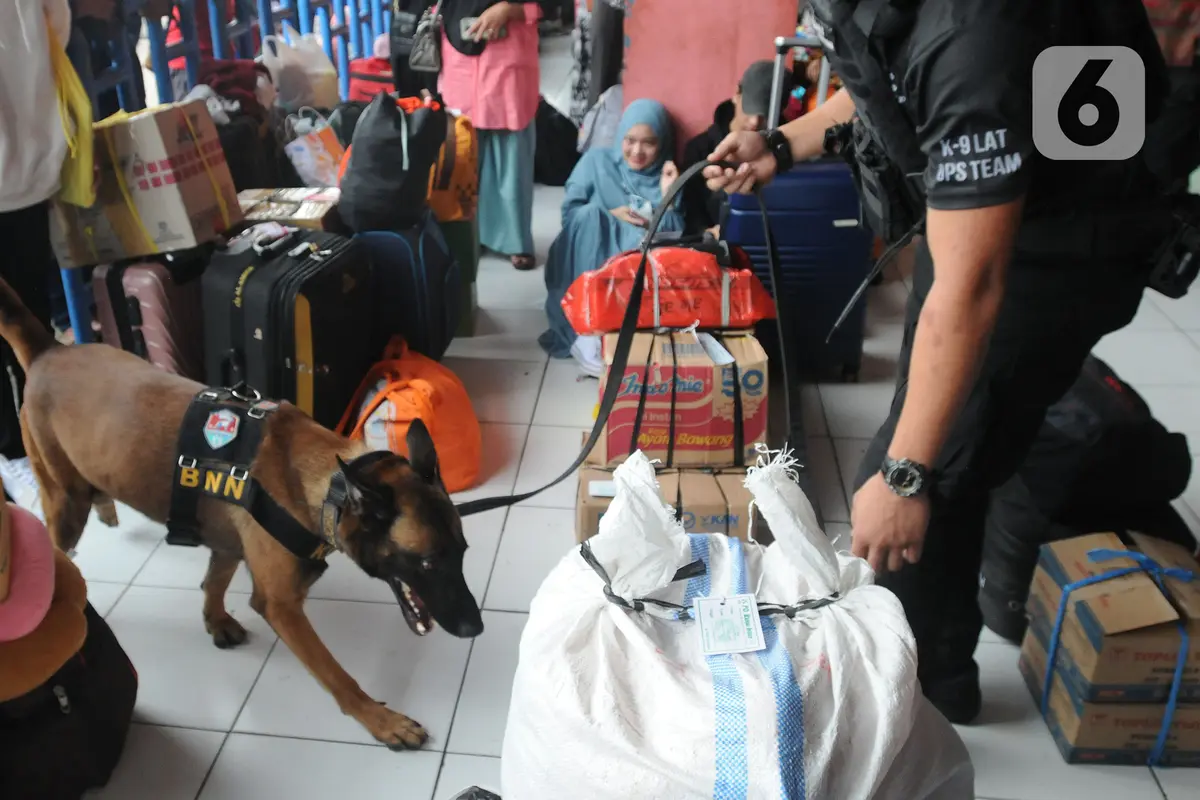 Anjing Pelacak Dikerahkan Amankan Mudik Lebaran 2022 di Terminal Kampung Rambutan