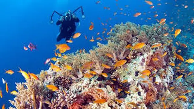 10 Destinasi Ini Jadi Pilihan Seru Saat Liburan ke Wakatobi