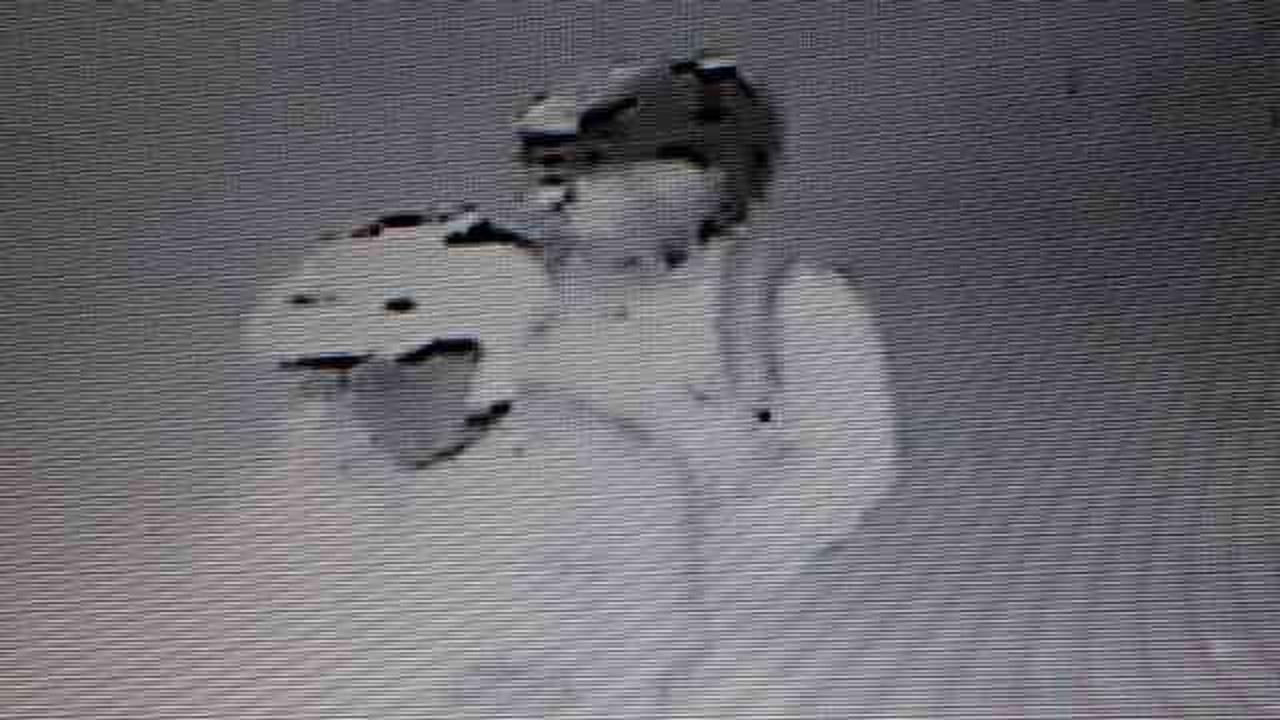 Video Rekaman CCTV Pelemparan Bom Molotov di Rumah Kapitra Ampera