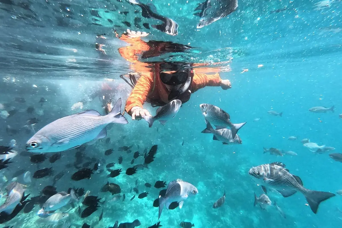 Snorkling di Pulau Maratua