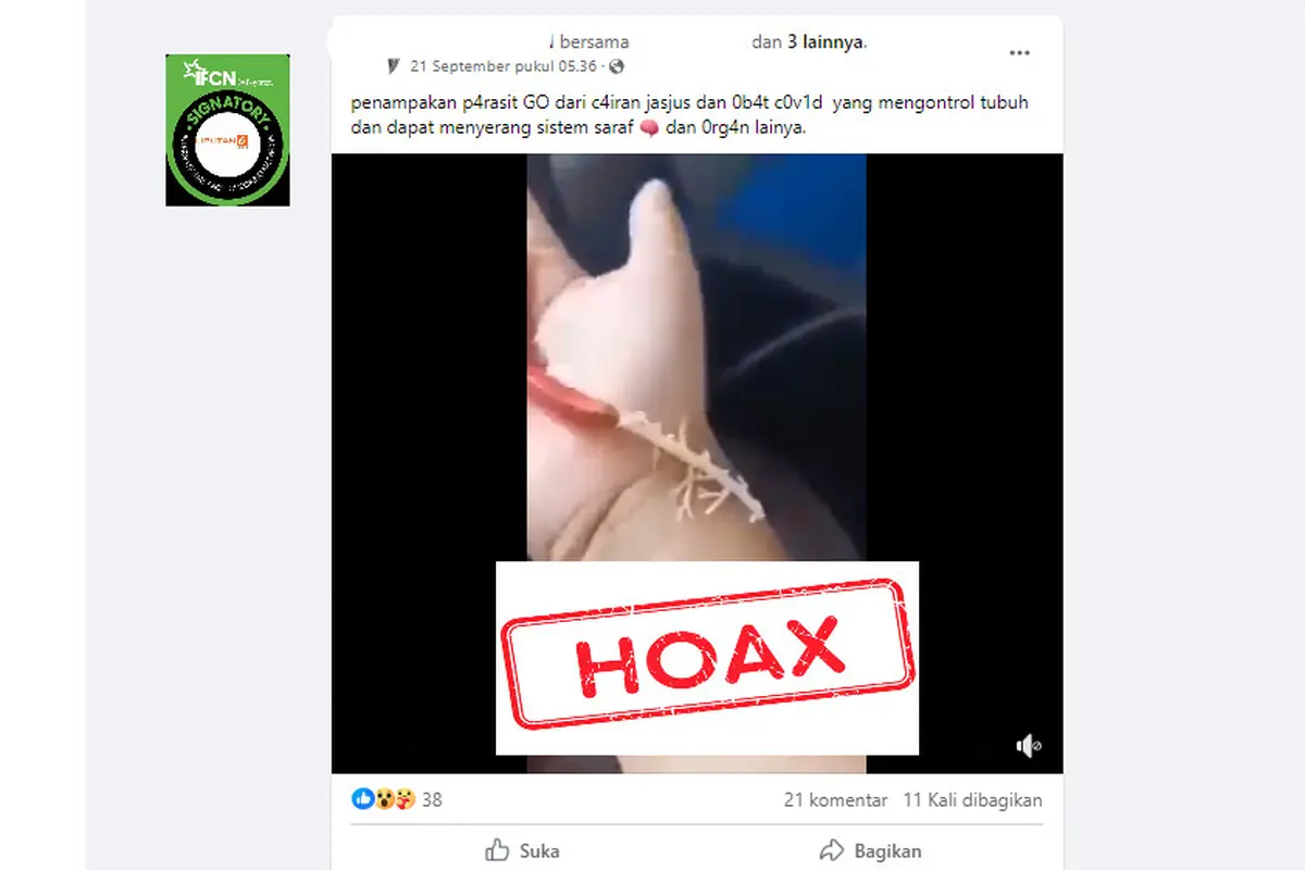 Tangkapan layar hoaks kandungan parasit