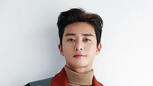 Park Seo Joon  (Soompi)
