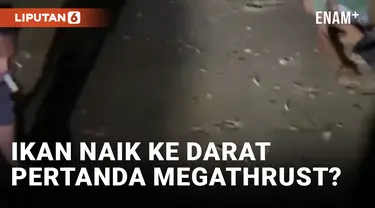 Diklaim Pertanda Megathrust, BPBD Lebak Jelaskan Fenomena Ribuan Ikan Naik ke Daratan