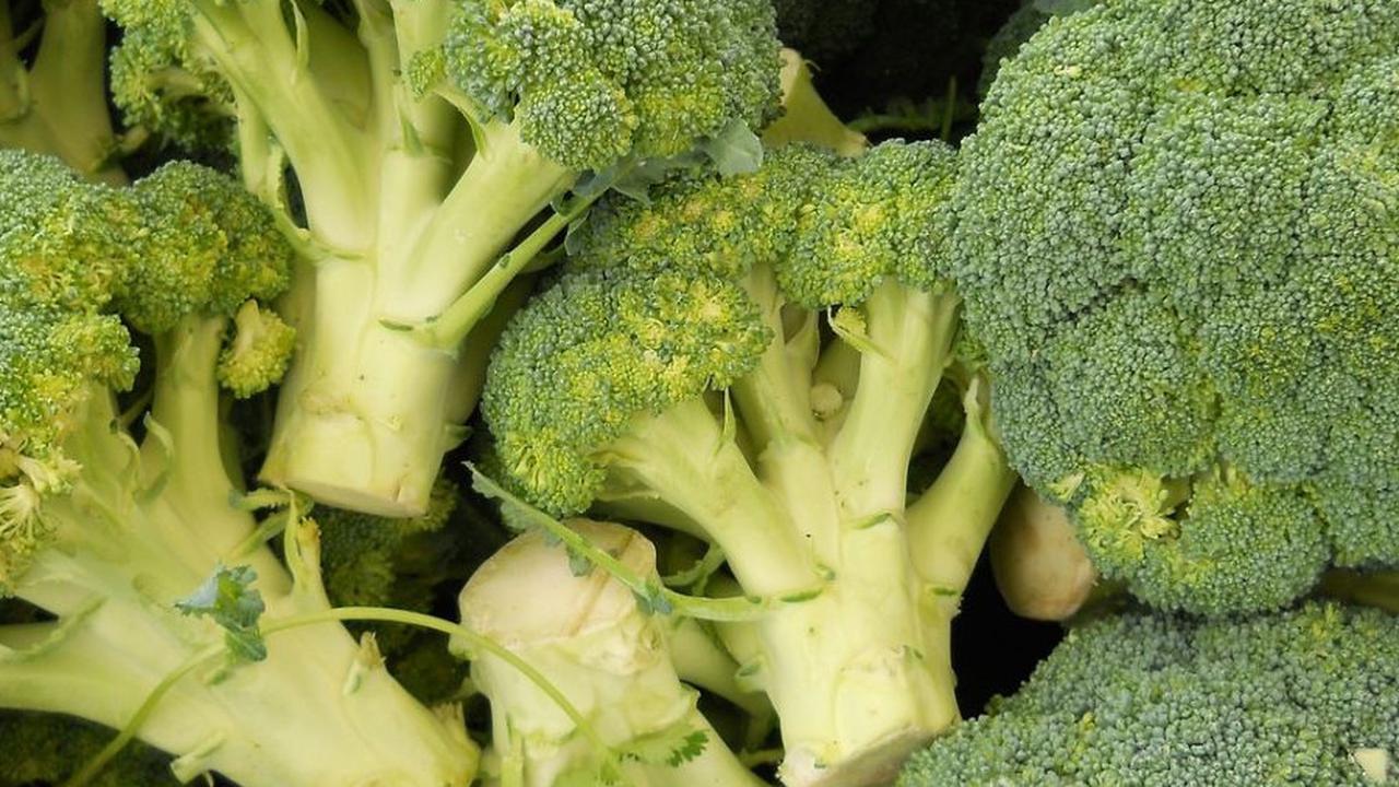 Manfaat Diet Alkaline dan Penerapannya, Efektif Turunkan Berat Badan