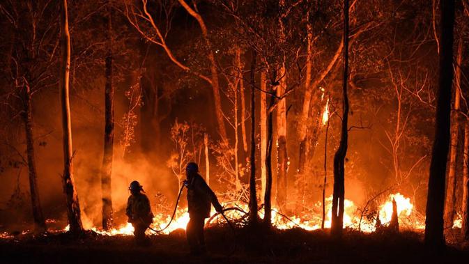 Kebakaran hutan di Australia. (Liputan6/BBC)