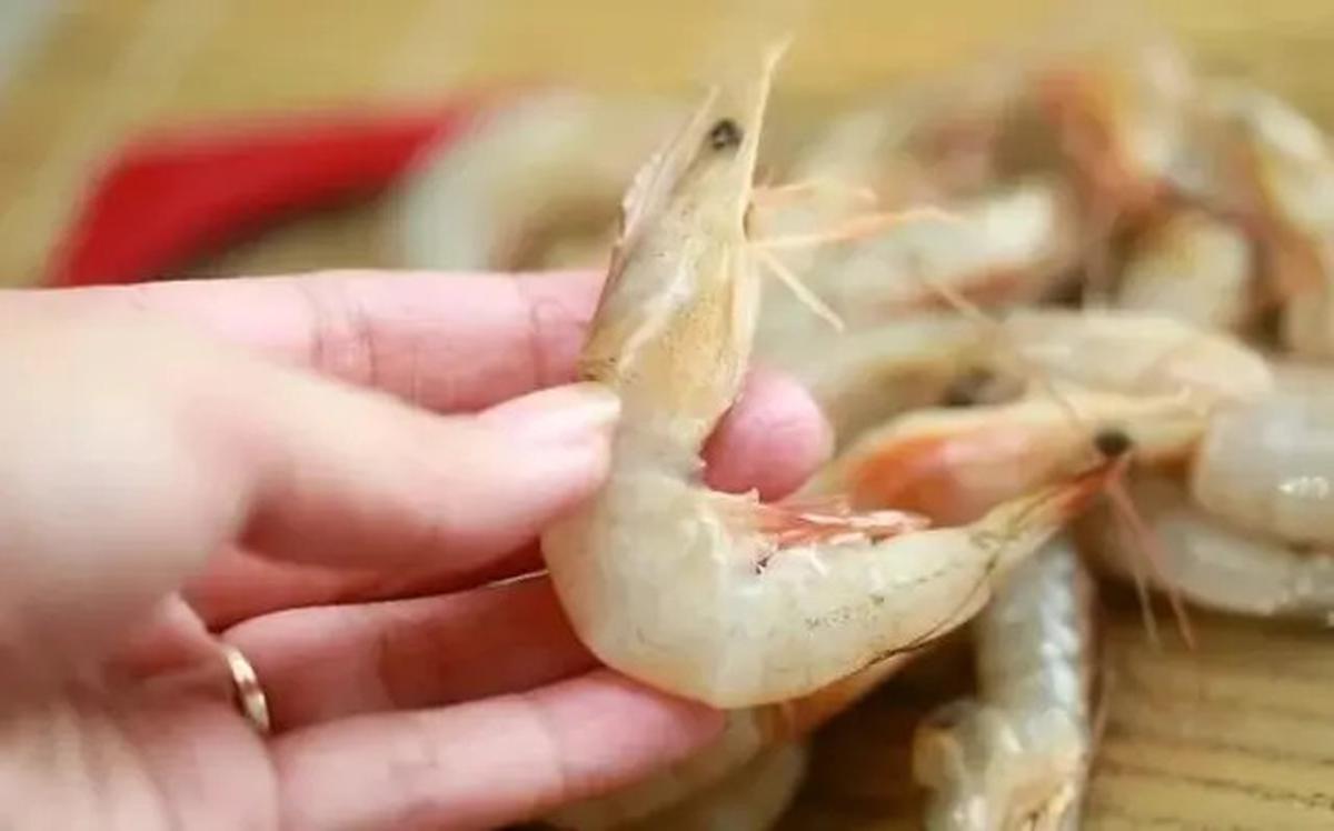 Rahasia Penyimpanan Udang agar Tetap Segar hingga Satu Bulan