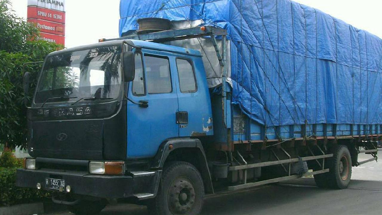 Truk Perkasa (Instagram/@romansasopirtruck)