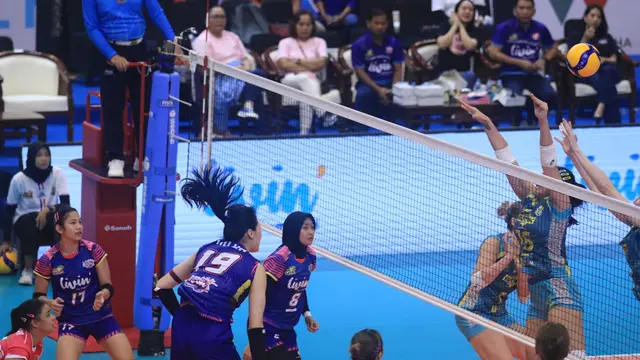 PLN Mobile Proliga 2024
