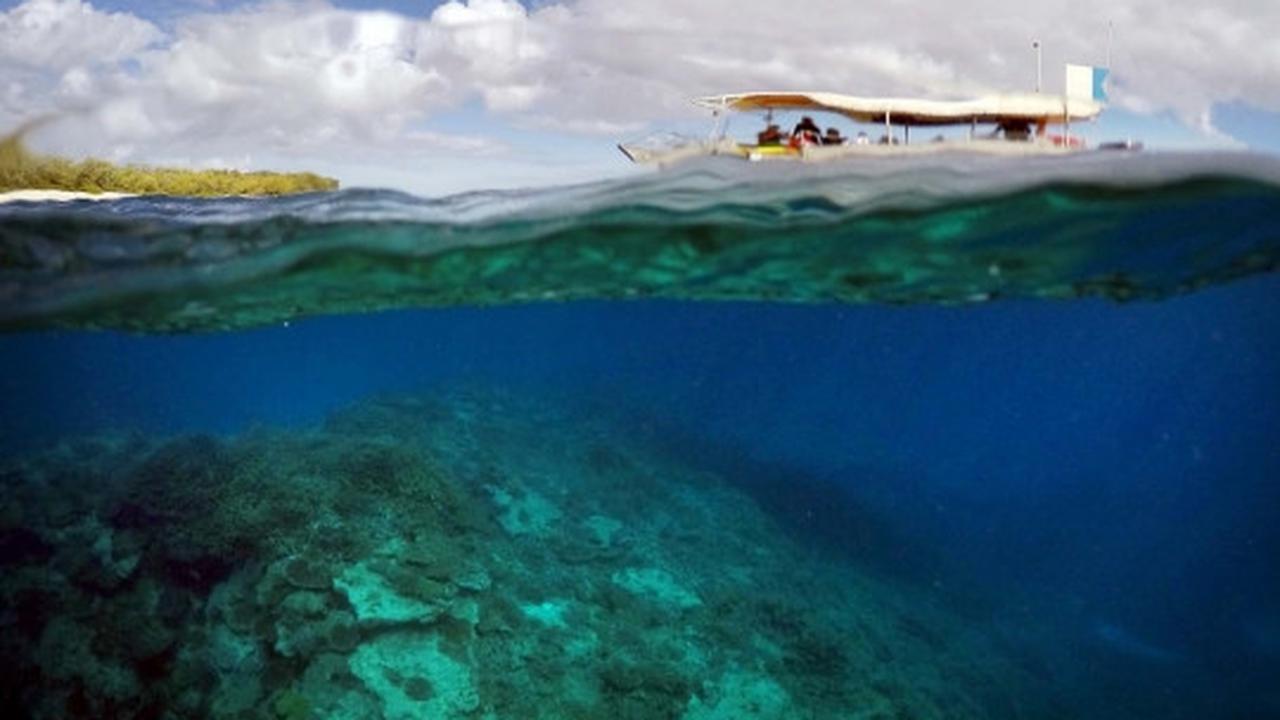Melihat ribuan terumbu karang rusak parah di laut Queensland