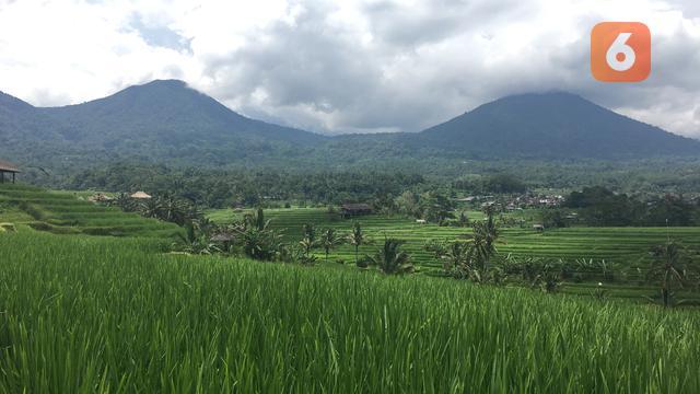 Desa Wisata Jatiluwih