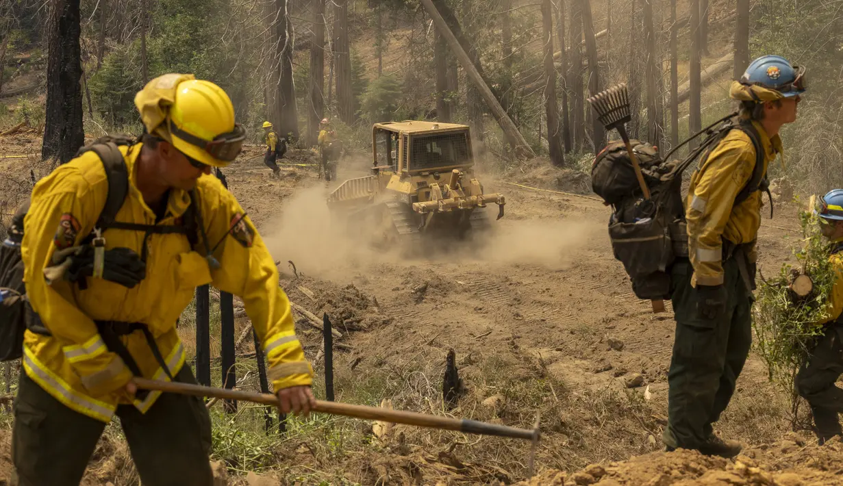 Sebuah buldoser melewati petugas pemadam kebakaran yang memotong vegetasi untuk memperluas jalur api di Oak Fire dekat Mariposa, California, Amerika Serikat, 25 Juli 2022. Petugas pemadam kebakaran terus berjuang melawan kebakaran hutan terbesar di California. (DAVID MCNEW/AFP)