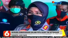 Penyelundupan ratusan ekor burung tanpa dokumen digagalkan oleh Polres Pelabuhan Tanjung Perak Surabaya. Polisi menyita barang bukti sejumlah burung langka yang dimasukkan dalam pipa paralon.