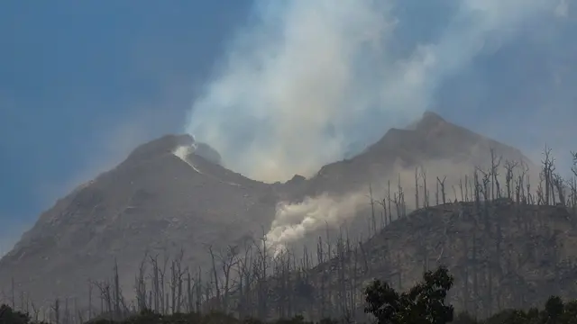 Tim Gabungan Berjibaku Cari dan Evakuasi Korban Erupsi Gunung Lewotobi Laki-Laki