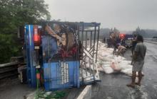 Truk Terguling di Tol Cipularang, Satu Pengemudi Meninggal Dunia
