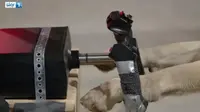 Anjing 'Tertangkap' Kamera Terbangkan Pesawat, Asli atau Palsu?