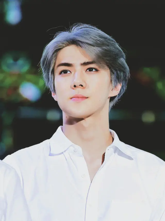 Sehun EXO/dok. Istimewa