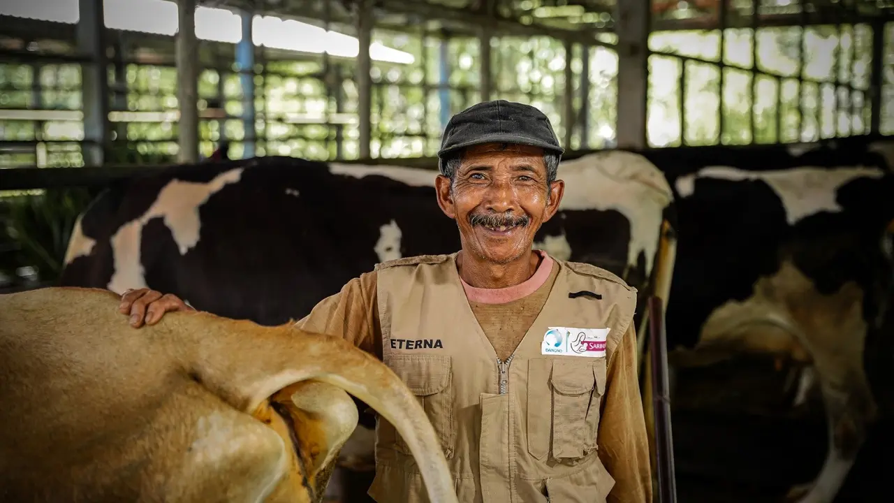 Peternak Sapi Perah