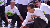Jokowi lepas penyu sisik di Pulau Seribu