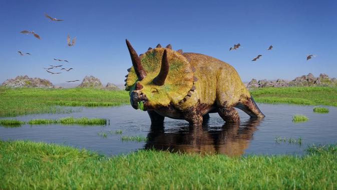 Jenis Dinosaurus Triceratops (Sumber: Istockphoto)