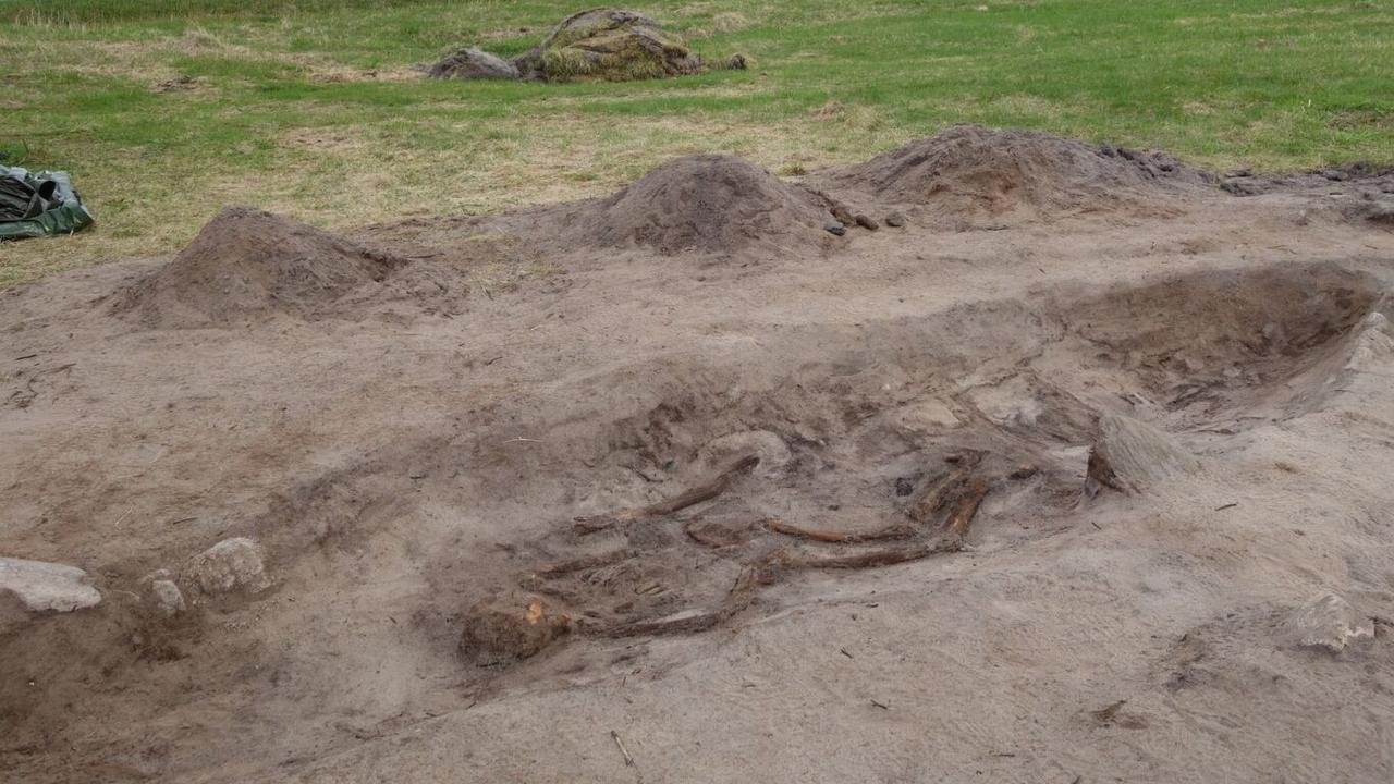 Arkeolog Temukan Makam Wanita Viking Berusia 1.100 Tahun, Dikubur Bersama Anjingnya di Pulau Terpencil