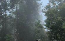 Medannya Sulit Ditaklukkan, Ini Fakta Menarik Gunung Bandahara di Provinsi Aceh