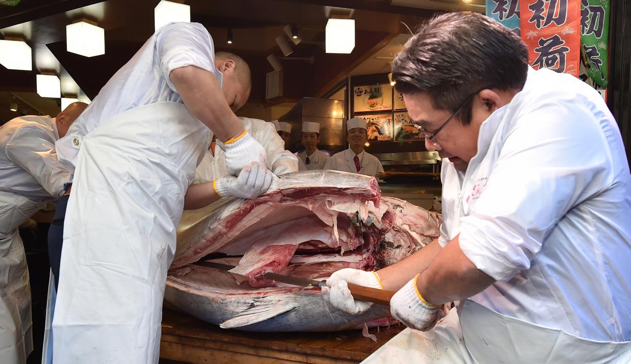 FOTO: Tuna Sirip Biru Seharga Rp 24 Miliar - Bisnis ...
