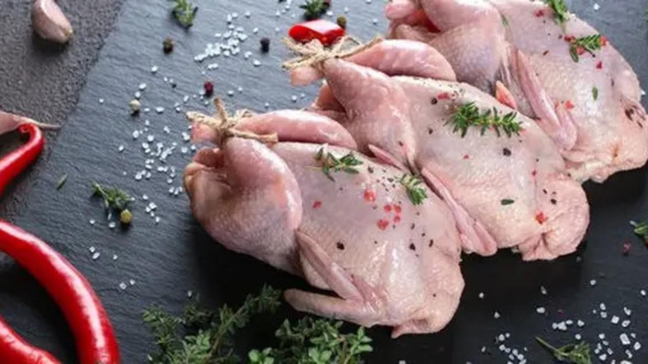 Cara Memasak Burung Puyuh Agar Empuk dan Lezat