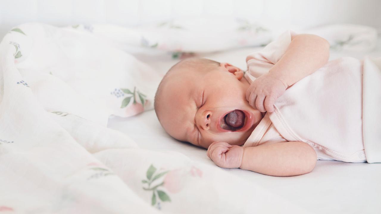 Lidah bayi (iStock)