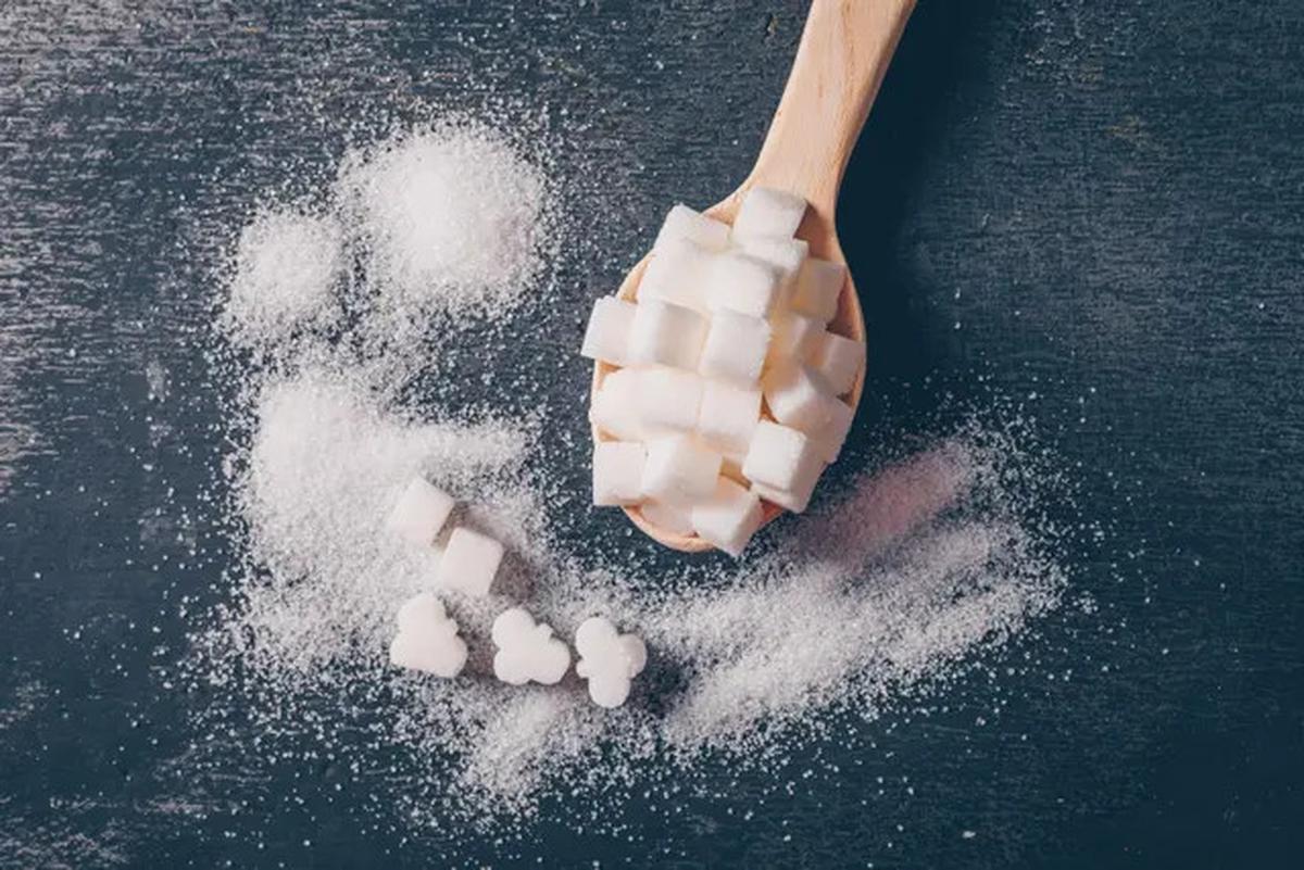 Sering Menyimpan Nasi di Kulkas?, Ini 4 Tips Praktis untuk Menjaga Kualitas dan Nutrisi