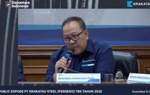 Bos Krakatau Steel Bicara Saham Melonjak Ratusan Persen: Murni Respons Pasar