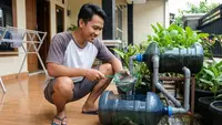Jenis Ikan yang Cocok untuk Aquaponik Galon Bekas, Cepat Besar Mudah Dirawat