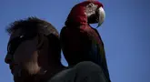 Chuck Hogan, seorang penduduk di Kaniau Road, dan burung beo miliknya, IIlani, difoto saat diwawancarai di sebuah pos pemeriksaan, di Lahaina, Hawaii, Senin, 25 September 2023. (AP Photo/Mengshin Lin)