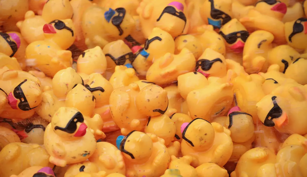 Bebek karet berada di dalam truk sebelum dijatuhkan ke sungai Chicago selama Windy City Rubber Ducky Derby di Chicago, Illinois (3/8). Sponsor bebek pertama yang melayang melintasi garis finish dianugerahi SUV baru. (Scott Olson/Getty Images/AFP)