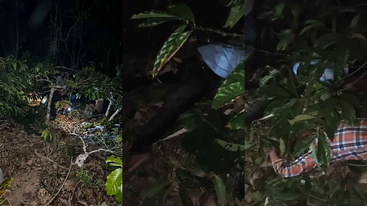 Proses evakuasi pengedara sepeda motor yang terperosok ke jurang sedalam 20 meter di Lampung Barat. (Liputan6.com/Istimewa).