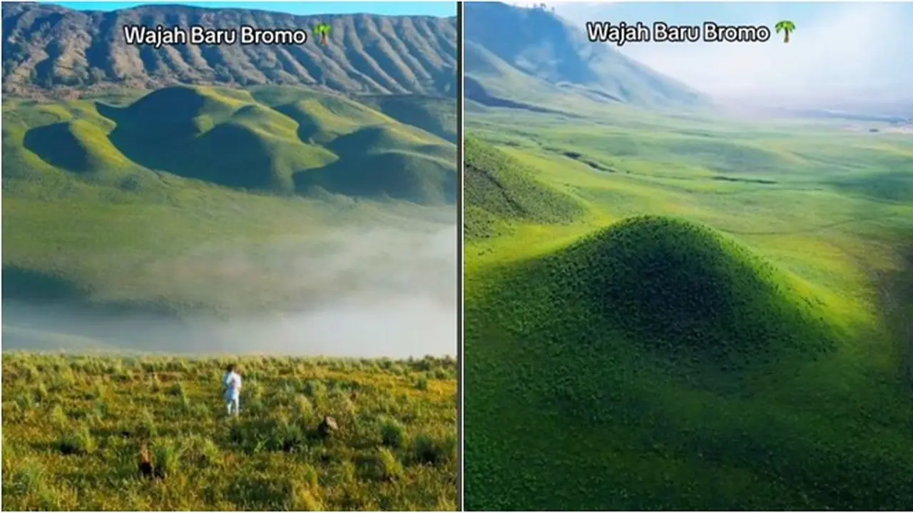 Potret Kondisi Terbaru Gunung Bromo Pasca Kebakaran Ini Jadi Sorotan, Semakin Hijau