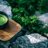 Matcha yang sedang tren, berikut resep olahan matcha yang mudah dibuat di rumah!/copyright pexels/NipananLifestyle.com