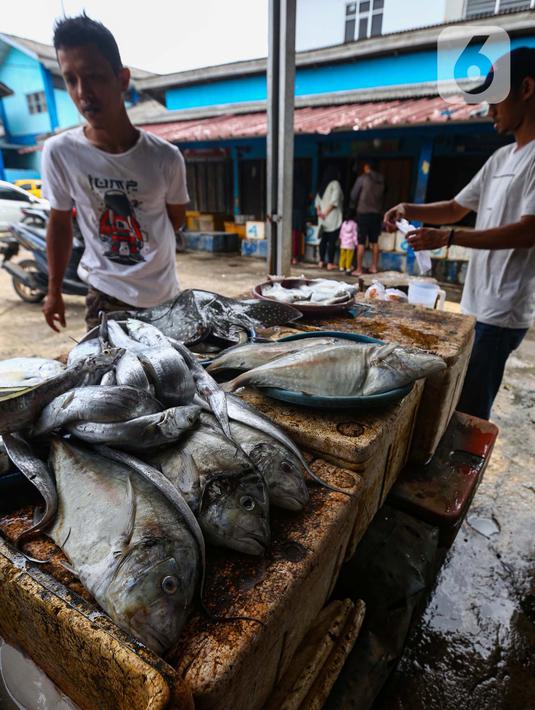 KKP memperkirakan jumlah ketersediaan ikan dalam kurun waktu Ramadan hingga Idul Fitri 1445 Hijriah mencapai 3,10 juta ton. (Liputan6.com/Angga Yuniar)
