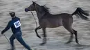 Seekor kuda Arab diarak untuk menunjukkan kelincahnnya dalam kontes Kecantikan Kuda Arab di desa Abusir, sekitar 20 km barat daya ibu kota Mesir, Kairo, 5 Oktober 2019. Kontes tersebut memperebutkan gelar kuda arab terindah. (Photo by Khaled DESOUKI / AFP)