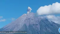 Gunung Semeru Erupsi (AntaraNews)