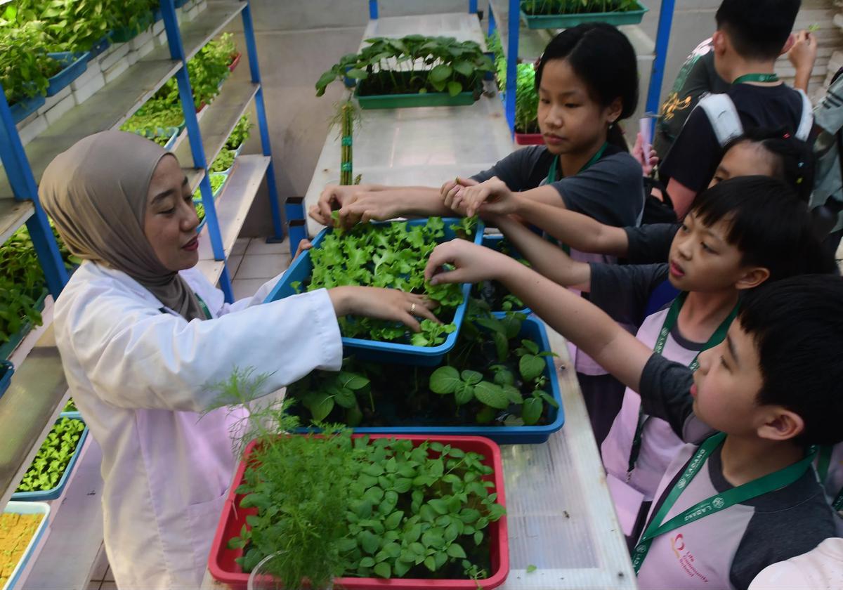 FOTO: Belajar Hidroponik di Kebun Vertikal Tertinggi di Indonesia