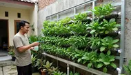 Trik Pasang Rangka Spasi 5 Cm pada Kebun Botol Vertikal, Cegah Tembok Rumah Lembap dan Berjamur Hitam