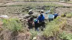 Warga mengambil air untuk kebutuhan sehari-hari pada kubangan bekas sawah di kawasan Weninggalih, Jonggol, Jawa Barat, Selasa, 25 Agustus 2026. (KLY/ Arie Basuki)