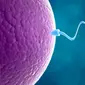 Ilustrasi Sperma atau Sel Reproduksi Laki-laki. (iStockphoto)