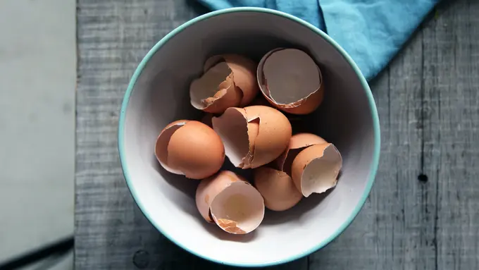 ilustrasi sampah dapur