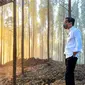 Presiden Joko Widodo atau Jokowi menikmati suasana hutan saat sunrise pada pagi hari setelah berkemah semalam di titik nol Ibu Kota Negara (IKN) Nusantara, Kecamatan Sepaku, Penajam Paser Utara, Kalimantan Timur, Selasa (15/3/2022). (FOTO: Setpres/Agus Suparto)